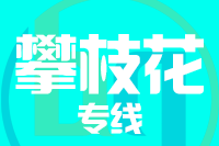 青島到攀枝花物流公司